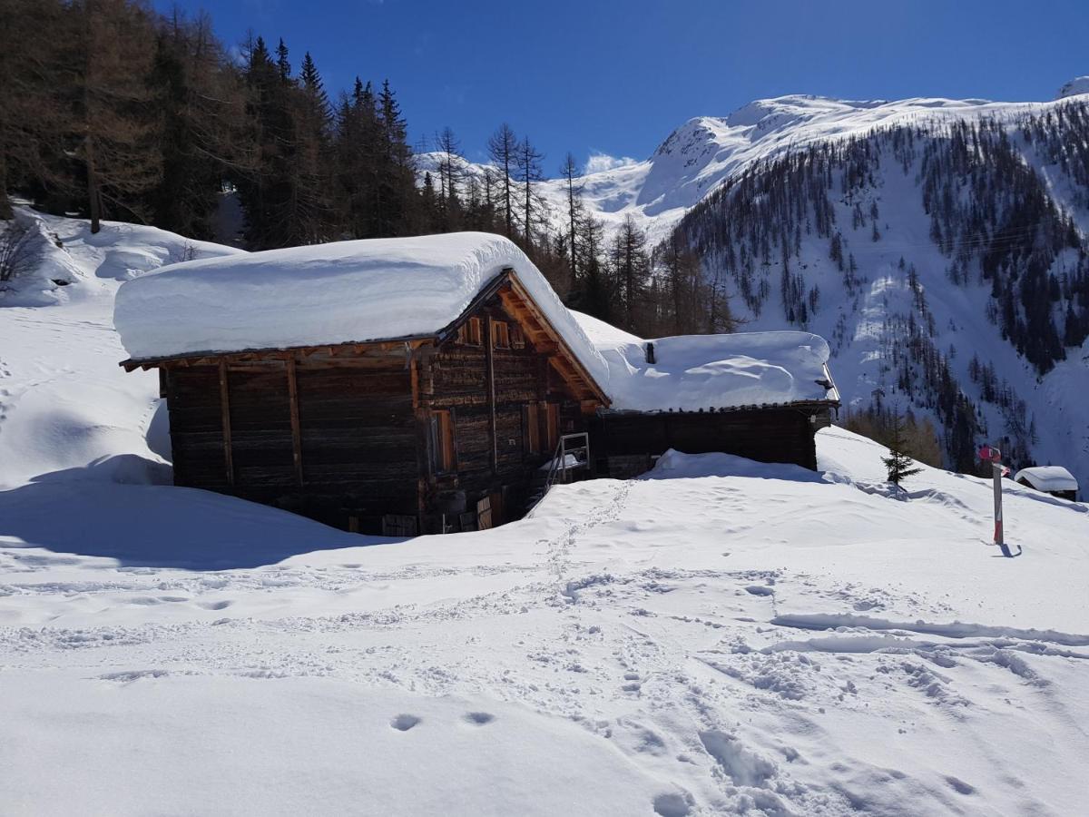 Chalet Biene - Swiss Alp Chalet With Sauna And Jacuzzi Ulrichen Luaran gambar