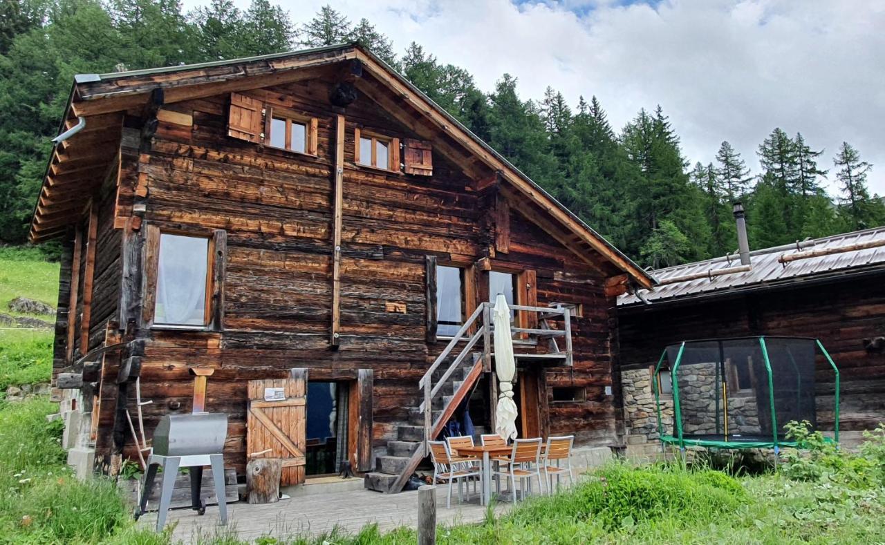 Chalet Biene - Swiss Alp Chalet With Sauna And Jacuzzi Ulrichen Luaran gambar